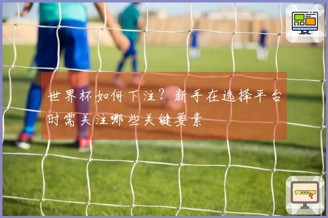 世界杯如何下注？新手在选择平台时需关注哪些关键要素