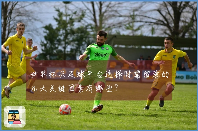 世界杯买足球平台选择时需留意的几大关键因素有哪些？