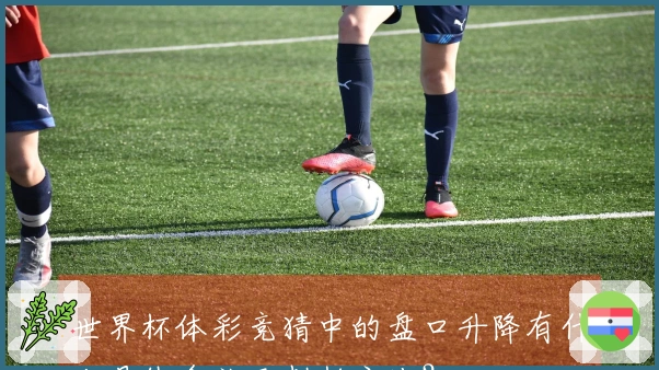 世界杯体彩竞猜中的盘口升降有什么具体含义及判断方法？