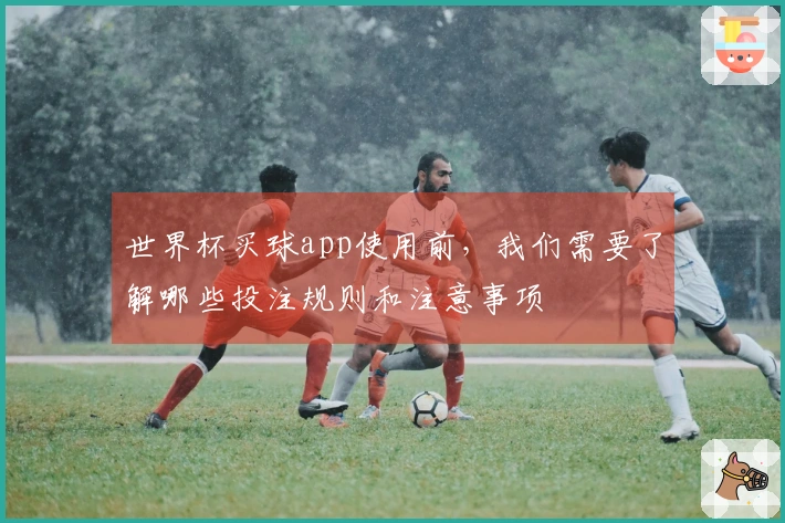 世界杯买球app使用前，我们需要了解哪些投注规则和注意事项