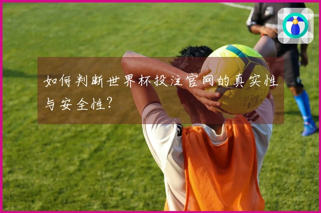 如何判断世界杯投注官网的真实性与安全性？
