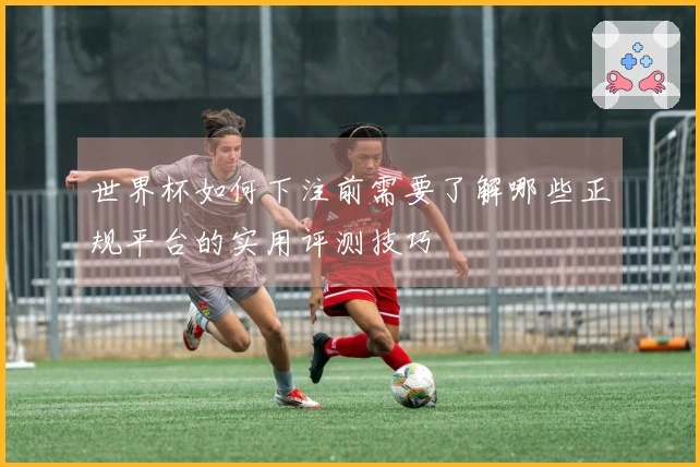世界杯如何下注前需要了解哪些正规平台的实用评测技巧