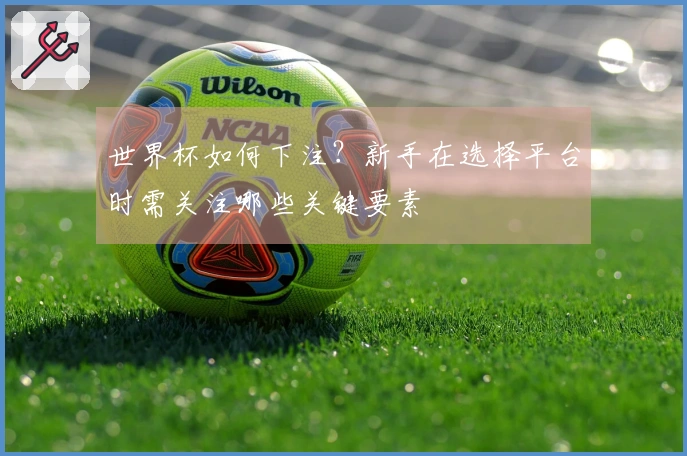 世界杯如何下注？新手在选择平台时需关注哪些关键要素