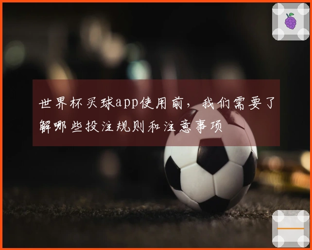 世界杯买球app使用前，我们需要了解哪些投注规则和注意事项