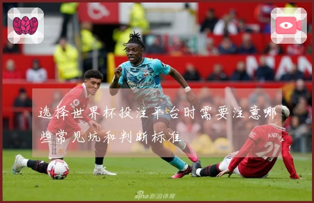 选择世界杯投注平台时需要注意哪些常见坑和判断标准