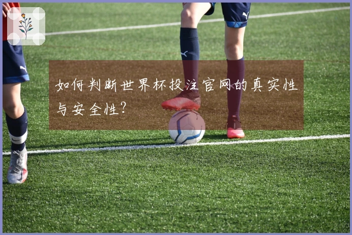 如何判断世界杯投注官网的真实性与安全性?